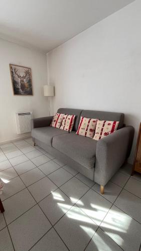 - un salon avec un canapé gris et 2 oreillers dans l'établissement Studio du Lac, à Gérardmer