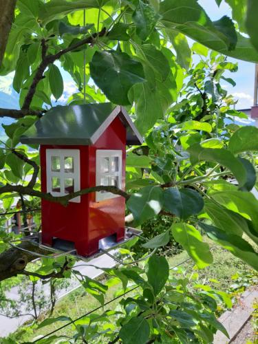 Jardín al aire libre en Zaunkönig