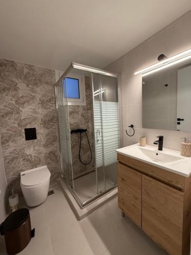 a bathroom with a shower and a toilet and a sink at Villa Helio Kineta in Kineta