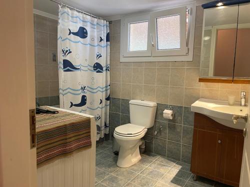 a bathroom with a toilet and a sink and a shower curtain at House Garden in Kalamoti in Kalamoti
