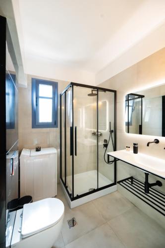 a bathroom with a shower and a toilet and a sink at A L'AISE STUDIOs in Apolpaina