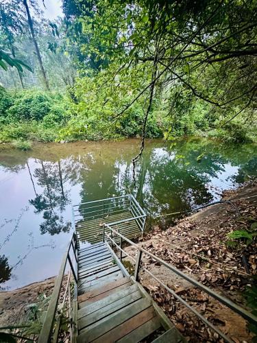 a wooden bridge over a river with a swing at Wilderstay Resort in Meppādi