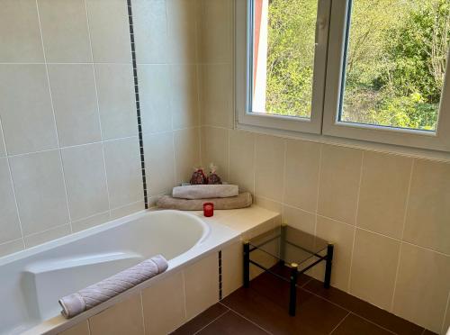 une salle de bain avec une baignoire et une fenêtre dans l'établissement Superbe et au calme - vue zoo - 3 chambres, à Mulhouse