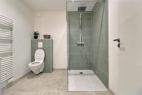 une salle de bain avec toilettes et douche en verre dans l'établissement Loft billard, à Valence