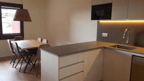 Η κουζίνα ή μικρή κουζίνα στο Apartament BEDOLL de Molló Parc