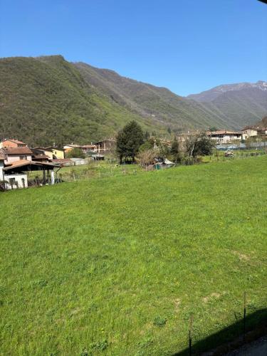 a field of green grass with mountains in the background at BiancoGelso b&b Vegan in Gardone Riviera