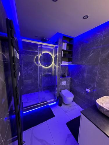 La salle de bains est pourvue d'une douche et de toilettes avec des lumières bleues. dans l'établissement Petit appartement, cosy très calme à côté de PARIS, à Villeneuve-le-Roi