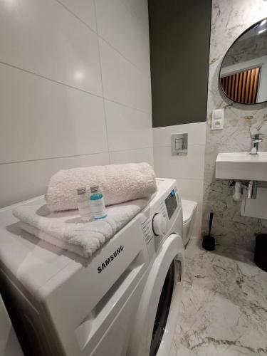 a washing machine in a bathroom with a sink at Apartament Spokojny Nad Jeziorem in Sztum