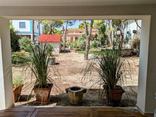 Κήπος έξω από το Villa Bruno, la tua casa in riva al mare