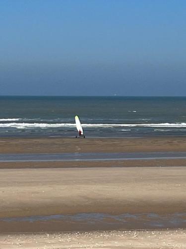 a person walking on the beach with a kite at La Descenderie - Bord de mer in Sangatte