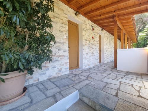 Olive Grove View