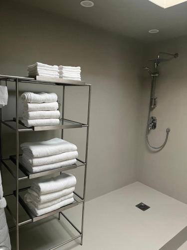 a bathroom with a rack of towels and a shower at Seaside in Portrush