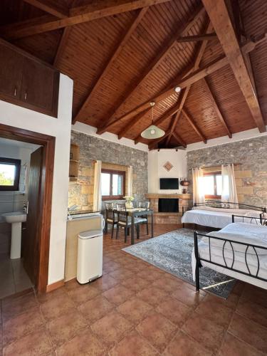 a large room with a kitchen and a living room at Papanestoras Apartments in Kardamili