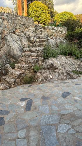 a stone wall next to a stone walk way at Papanestoras Apartments in Kardamili