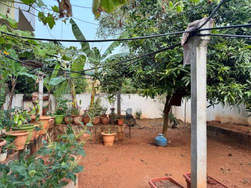 a garden with a bunch of potted plants at Kelly cottages in Warangal