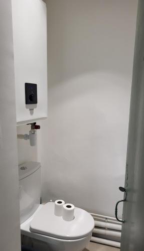 La salle de bains est pourvue de toilettes et de 2 rouleaux de papier toilette. dans l'établissement Studio Ceineray 2pers, à Nantes
