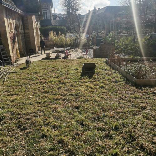 une cour avec un chien marchant dans l'herbe dans l'établissement cétamé, à Étretat