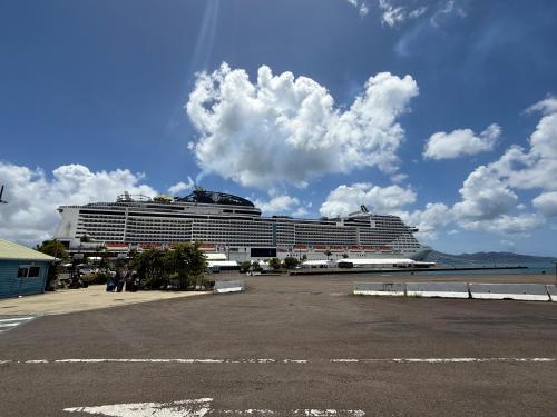 a large cruise ship sitting in the water at residence caramboles in Fort-de-France