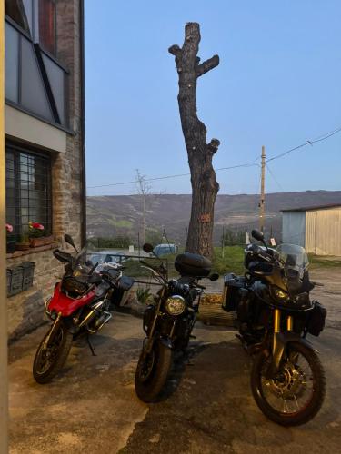 a couple of motorcycles parked next to a tree at La Corte dei Celti La fonte in San Benedetto Del Querceto
