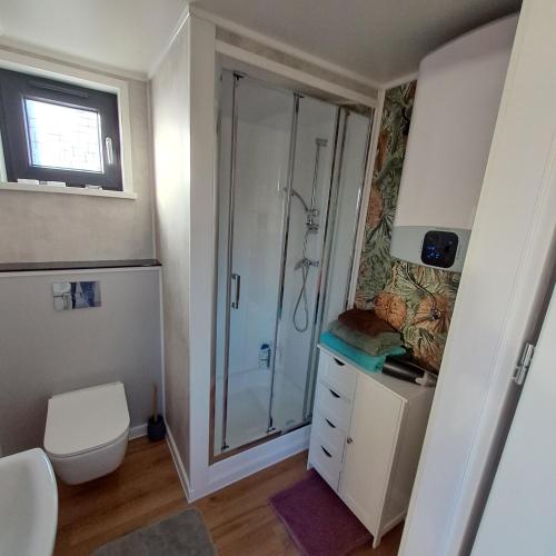 a bathroom with a shower and a toilet and a sink at Brzozowe Ostrowie in Kozłowo