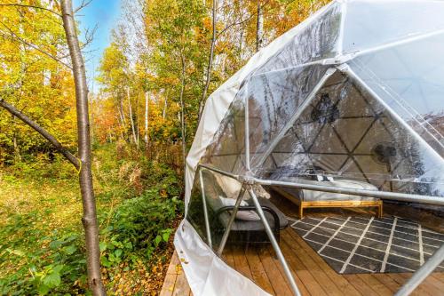 Сад в Dôme Forestier - Expérience Glamping détente