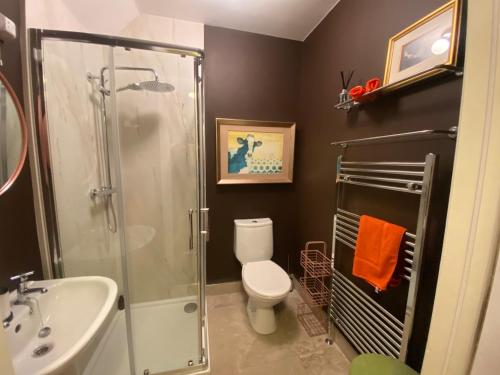 a bathroom with a shower and a toilet and a sink at Beautiful renovated stone house for Dog friendly, Quayside location in Newport