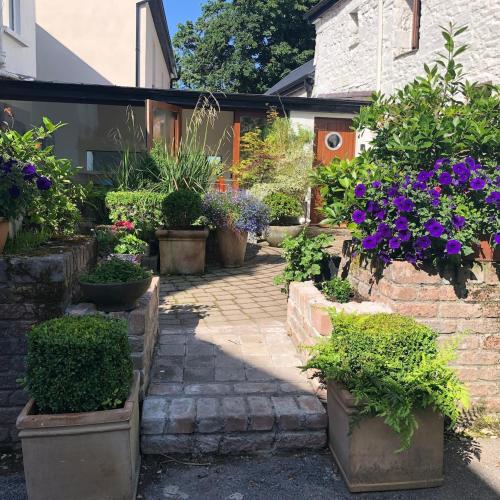 a garden with potted plants and flowers in pots at Beautiful renovated stone house for Dog friendly, Quayside location in Newport