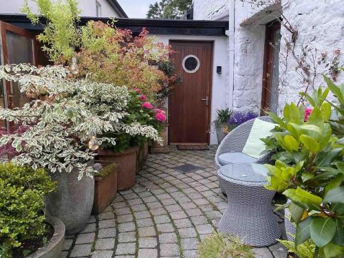 a patio with a table and a bunch of plants at Beautiful renovated stone house for Dog friendly, Quayside location in Newport