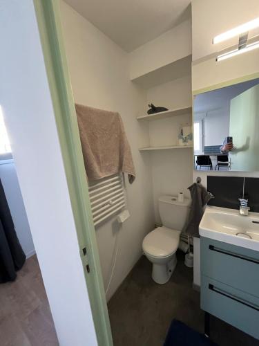 une salle de bain avec des toilettes blanches et un lavabo dans l'établissement Studio Cosy centre ville Grenoble, à Grenoble
