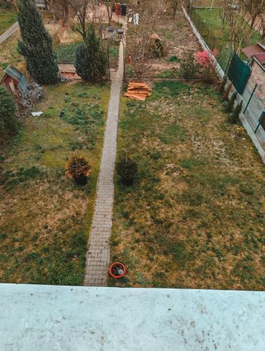 Κήπος έξω από το CozyRent în Ocna Mureș