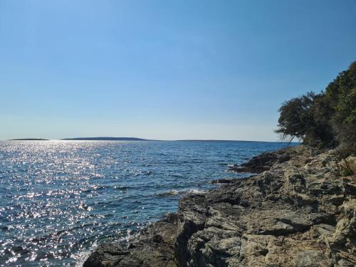 a view of the ocean from a rocky shore at Apartment Salvia - Stivan, Cres - 900 m to Merascica beach in Štivan