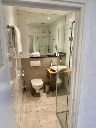 a bathroom with a toilet and a sink at Hotel - B&B - Appartement de Zevende Heerlijkheid in Slenaken