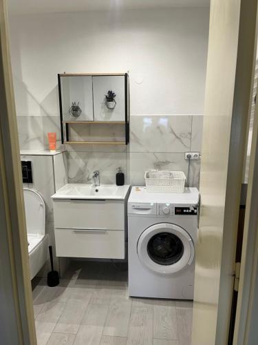 une salle de bain avec une machine à laver et un lavabo dans l'établissement Charmant Appartement à Metz, à Metz