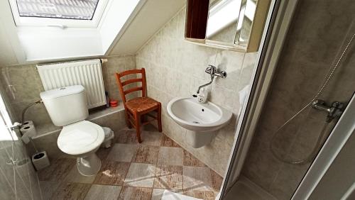 a small bathroom with a toilet and a sink at Penzion Vanda in Velké Pavlovice