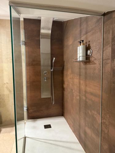 a shower with a glass door in a bathroom at MIRADOR DEL CIELO "Parking incluido" in Ávila