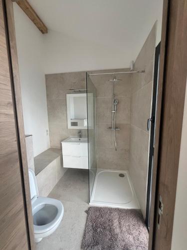 une salle de bain avec une douche en verre et des toilettes dans l'établissement Appartement au bord de mer, à San-Martino-di-Lota