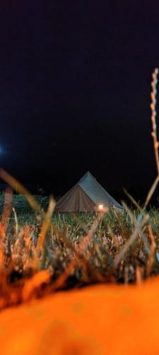 a tent sitting in the grass at night at ILLU Glamping in Trebujeni