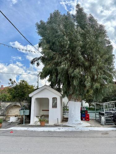 Edificio en el que se encuentra la casa o chalet