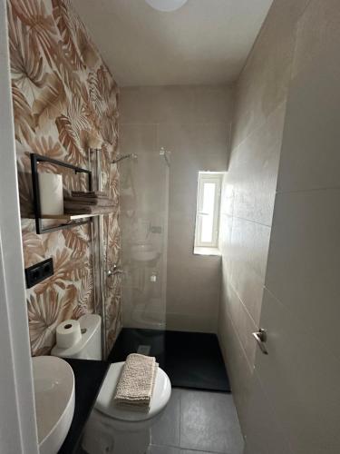タリファにあるApartamento El Madroñoの小さなバスルーム(トイレ、シャワー付)