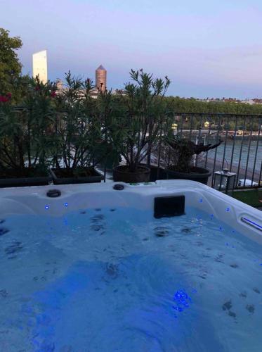 Coeur de Lyon avec Terrasse et Jacuzzi