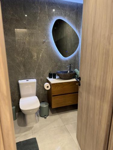 a bathroom with a sink and a toilet and a mirror at Meraki Apartment in Kremasti