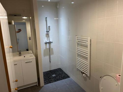 une salle de bain avec douche, toilettes et miroir dans l'établissement Arcachon Centre et Plage, à Arcachon