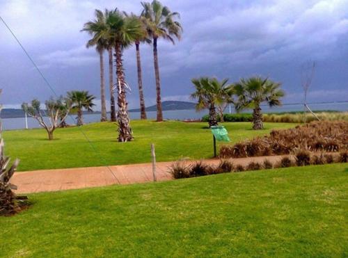 a group of palm trees on a grass field at Nador corniche gare in Nador