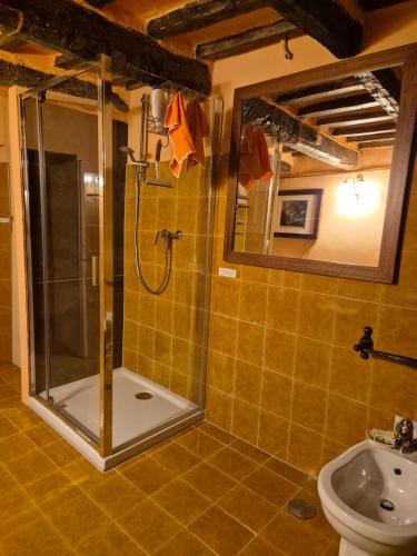a bathroom with a shower and a toilet and a sink at il Pozzo Apartment in Città di Castello