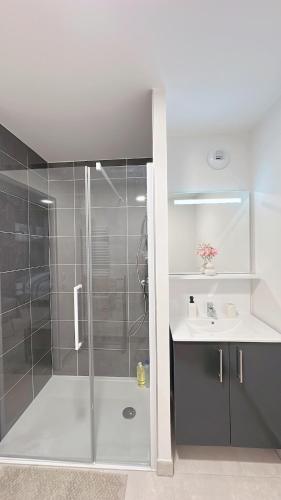 une salle de bain avec douche et lavabo dans l'établissement Modern and comfortable apartment, à Villepinte