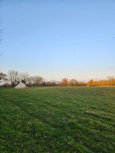 a large grass field with a barn in the distance at Readers Field Glamping in Great Sampford