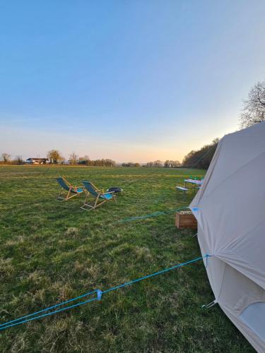 a group of chairs and a tent in a field at Readers Field Glamping in Great Sampford