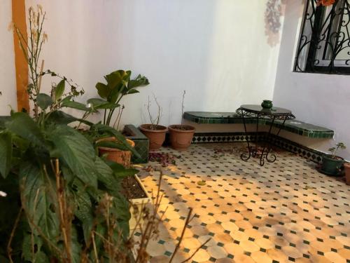 Taman di luar APT traditionnel style Riad proche du Centre, Palais et Plage