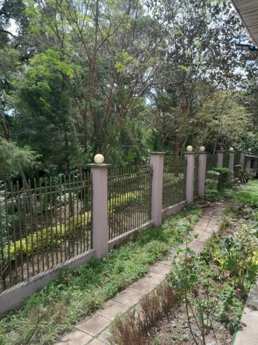 Vườn quanh Springs Holiday Home