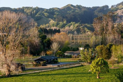a house in a field with mountains in the background at NEW - Farm House Near Town! in Gisborne